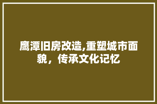 鹰潭旧房改造,重塑城市面貌，传承文化记忆