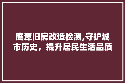 鹰潭旧房改造检测,守护城市历史，提升居民生活品质