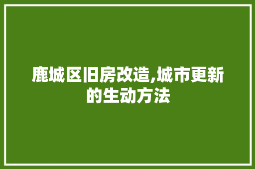 鹿城区旧房改造,城市更新的生动方法