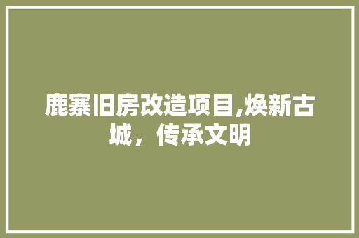 鹿寨旧房改造项目,焕新古城，传承文明