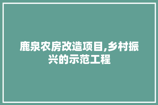鹿泉农房改造项目,乡村振兴的示范工程