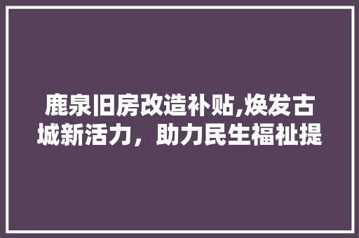 鹿泉旧房改造补贴,焕发古城新活力，助力民生福祉提升