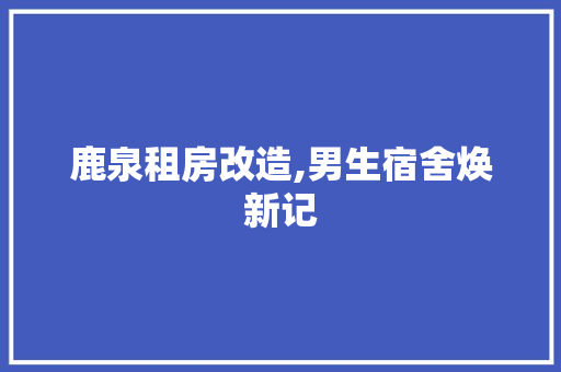 鹿泉租房改造,男生宿舍焕新记