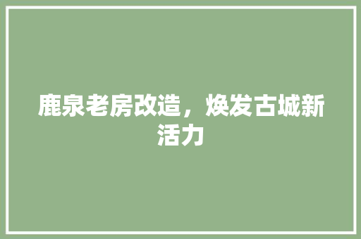鹿泉老房改造，焕发古城新活力