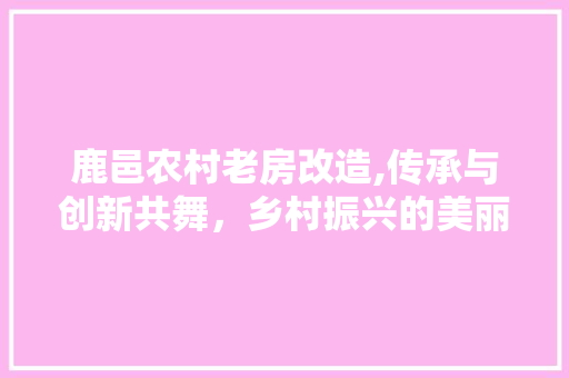 鹿邑农村老房改造,传承与创新共舞，乡村振兴的美丽画卷