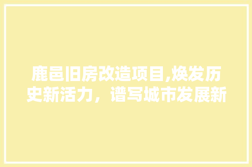 鹿邑旧房改造项目,焕发历史新活力，谱写城市发展新篇章