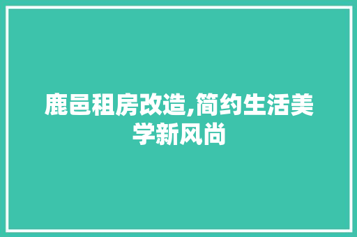 鹿邑租房改造,简约生活美学新风尚