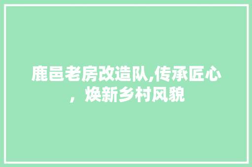 鹿邑老房改造队,传承匠心，焕新乡村风貌