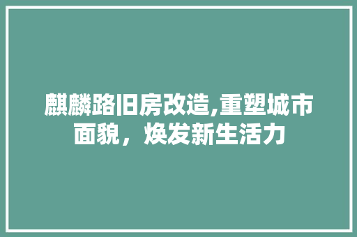 麒麟路旧房改造,重塑城市面貌，焕发新生活力