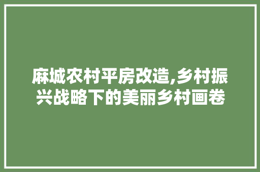 麻城农村平房改造,乡村振兴战略下的美丽乡村画卷
