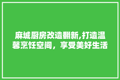 麻城厨房改造翻新,打造温馨烹饪空间，享受美好生活 家电维修