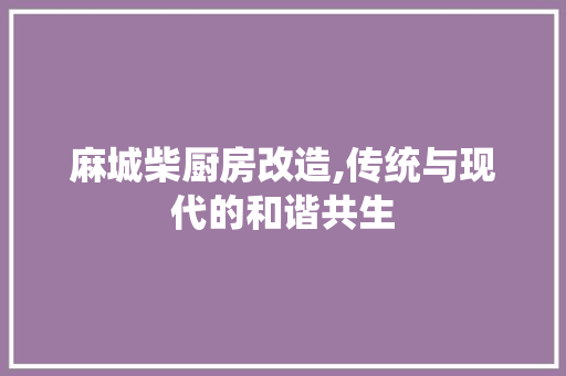麻城柴厨房改造,传统与现代的和谐共生