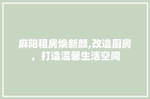 麻阳租房焕新颜,改造厨房，打造温馨生活空间