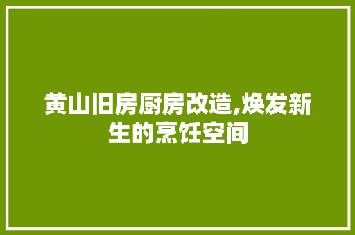 黄山旧房厨房改造,焕发新生的烹饪空间 户内维修