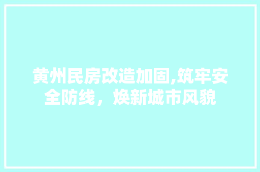 黄州民房改造加固,筑牢安全防线，焕新城市风貌
