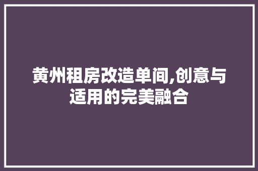 黄州租房改造单间,创意与适用的完美融合