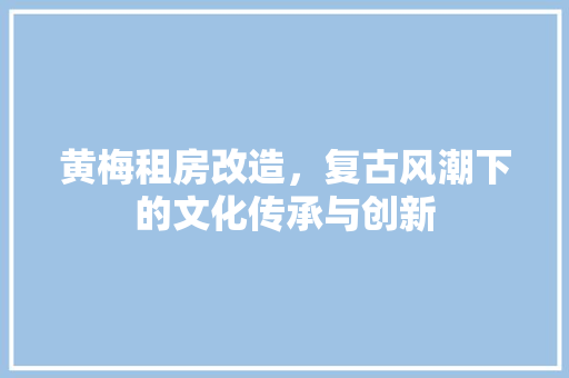 黄梅租房改造，复古风潮下的文化传承与创新 户内维修