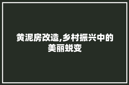 黄泥房改造,乡村振兴中的美丽蜕变