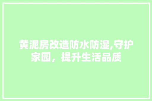 黄泥房改造防水防湿,守护家园，提升生活品质