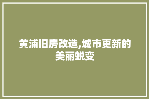 黄浦旧房改造,城市更新的美丽蜕变
