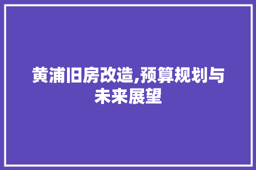 黄浦旧房改造,预算规划与未来展望