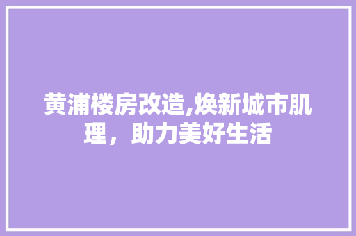 黄浦楼房改造,焕新城市肌理，助力美好生活