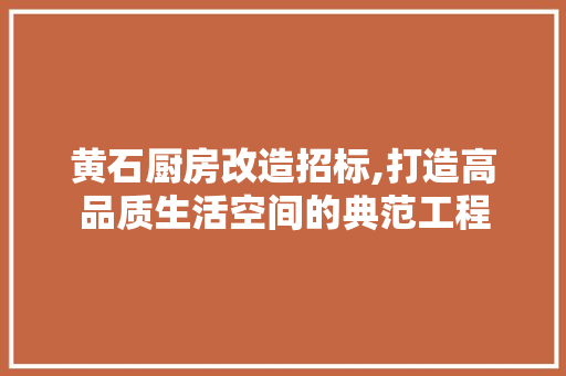 黄石厨房改造招标,打造高品质生活空间的典范工程