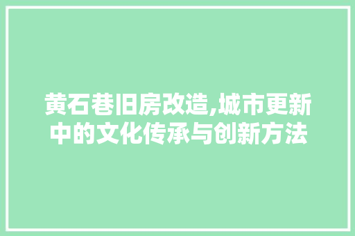 黄石巷旧房改造,城市更新中的文化传承与创新方法
