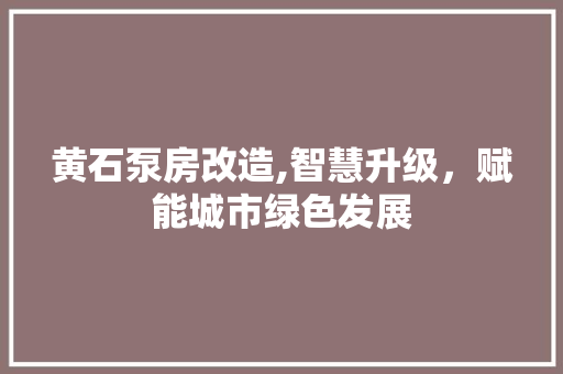 黄石泵房改造,智慧升级，赋能城市绿色发展