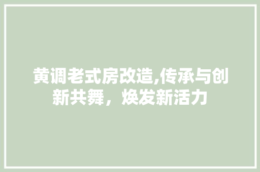 黄调老式房改造,传承与创新共舞，焕发新活力