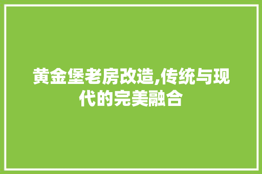黄金堡老房改造,传统与现代的完美融合 墙体维修