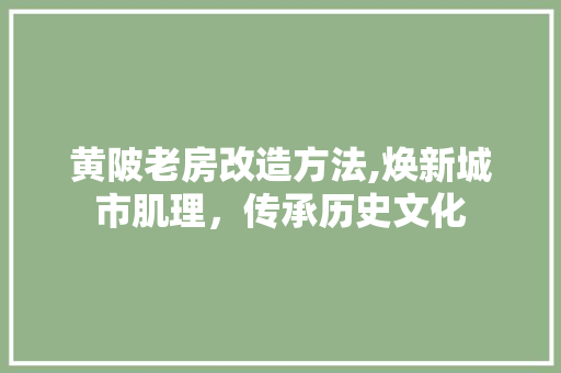 黄陂老房改造方法,焕新城市肌理，传承历史文化