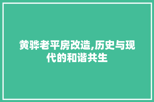 黄骅老平房改造,历史与现代的和谐共生