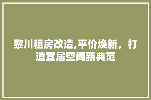 黎川租房改造,平价焕新，打造宜居空间新典范