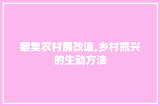 黎集农村房改造,乡村振兴的生动方法