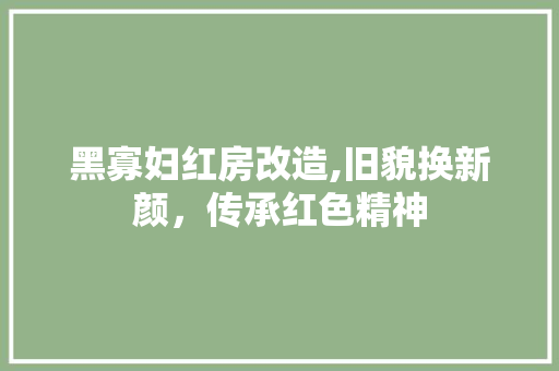 黑寡妇红房改造,旧貌换新颜，传承红色精神 墙体维修