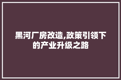 黑河厂房改造,政策引领下的产业升级之路