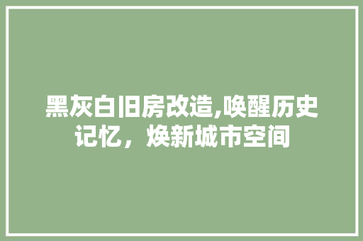 黑灰白旧房改造,唤醒历史记忆，焕新城市空间