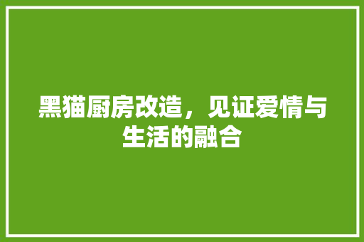 黑猫厨房改造，见证爱情与生活的融合