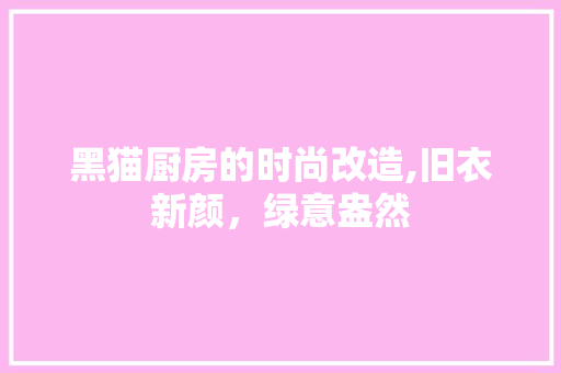 黑猫厨房的时尚改造,旧衣新颜，绿意盎然