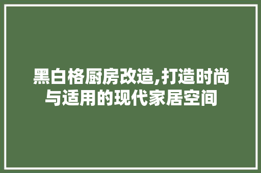 黑白格厨房改造,打造时尚与适用的现代家居空间