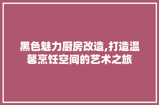 黑色魅力厨房改造,打造温馨烹饪空间的艺术之旅