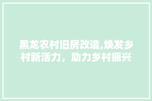 黑龙农村旧房改造,焕发乡村新活力，助力乡村振兴