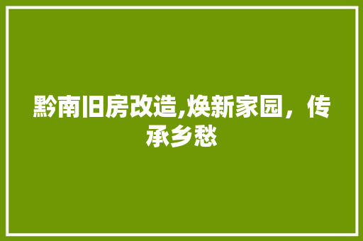 黔南旧房改造,焕新家园，传承乡愁 墙体维修