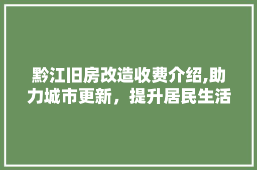 黔江旧房改造收费介绍,助力城市更新，提升居民生活品质 家电维修