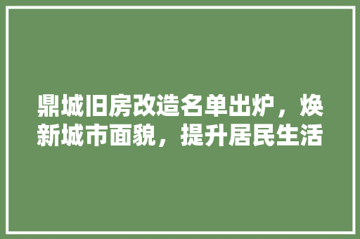 鼎城旧房改造名单出炉，焕新城市面貌，提升居民生活品质 墙体维修