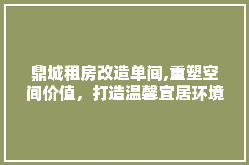 鼎城租房改造单间,重塑空间价值，打造温馨宜居环境 户内维修