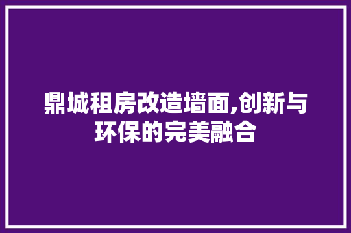 鼎城租房改造墙面,创新与环保的完美融合 厨房维修