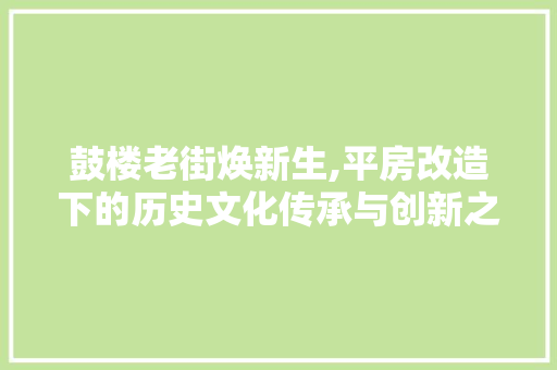 鼓楼老街焕新生,平房改造下的历史文化传承与创新之路 户内维修