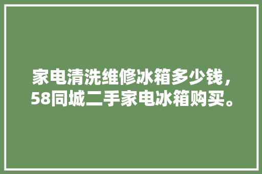 家电清洗维修冰箱多少钱，58同城二手家电冰箱购买。 家电清洗维修冰箱多少钱，58同城二手家电冰箱购买。 厨房维修